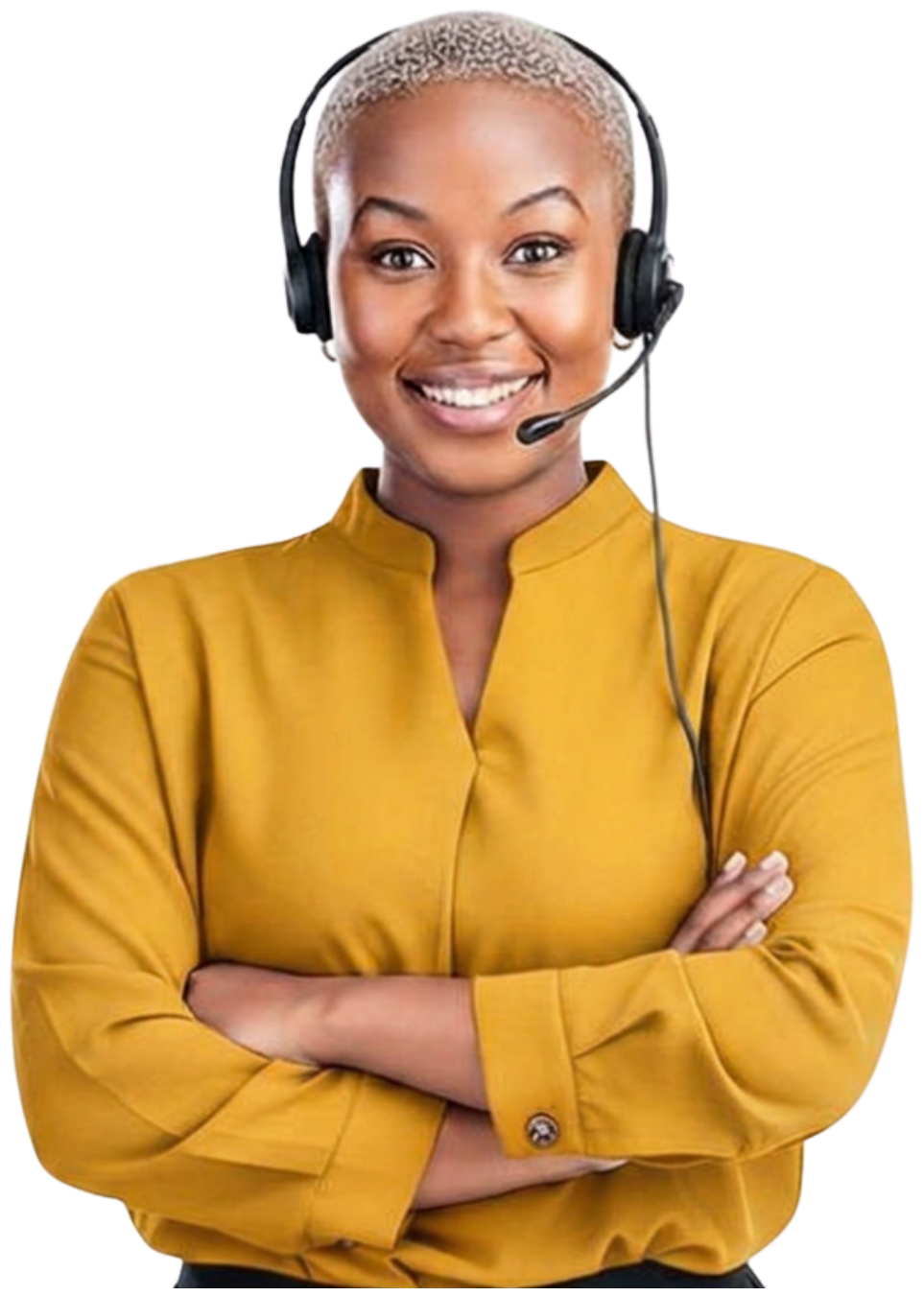 A NoboNG support agent